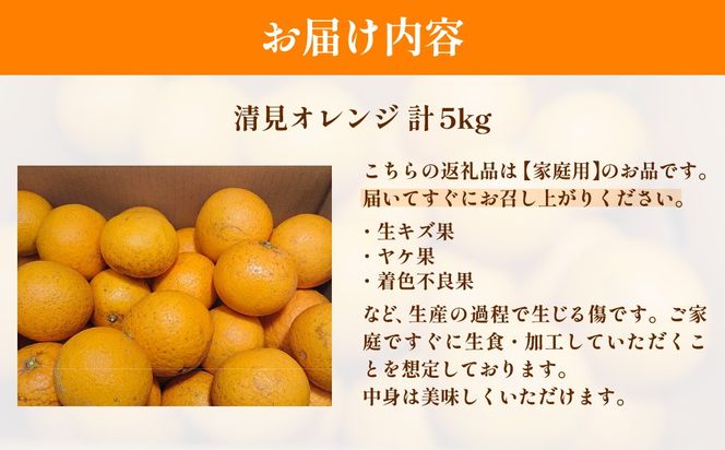 【先行予約】【家庭用】清見オレンジ計5kg ※離島への配送不可（2027年3月上旬頃より順次発送予定）IKTAC007