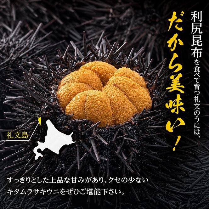 北海道 礼文島産 採れたて ミョウバン不使用 キタムラサキウニ 塩水パック 1kg(100g×10個)［株式会社やまじょう］【 うに ウニ 雲丹 生うに 塩水うに キタムラサキウニ 滅菌海水 海鮮 うに丼 濃厚 甘み 大容量 】