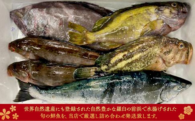 知床羅臼産 鮮魚詰め合わせA　約5kg 魚 さかな 旬の魚 鮮魚 羅臼町 北海道 生産者 支援 応援 016942_AE045