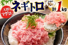 ネギトロ まぐろ 1kg 10パック セット [大黒物産株式会社 福岡県 宇美町 um40bak830037] マグロ 鮪 ねぎとろ まぐろたたき まぐろのたたき ご飯 海鮮 魚介 惣菜 お惣菜 おかず おつまみ ネギトロ丼 丼 丼物 冷凍 小分け