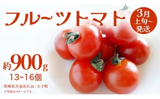 フルーツトマト 約900g (13～16個)【2027年3月上旬発送開始】(茨城県共通返礼品：大子町) トマト とまと 野菜 やさい