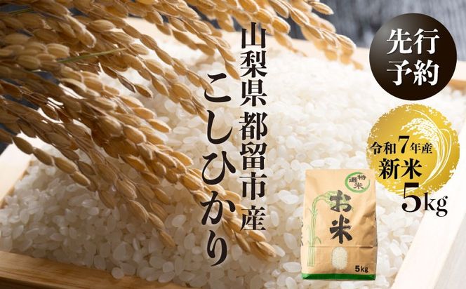 【令和７年産新米・予約】山梨県都留市産こしひかり[5kg] FB038