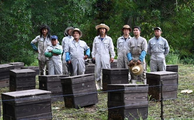 はちみつ 国産 蜂蜜 6本組 セット レンゲ アカシア クローバー リンゴ ボダイジュ 百花蜜 各180g×1 ハチミツ 