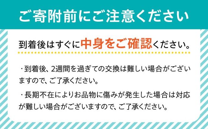 【2026年1月中旬〜発送】【数量限定】いちご「ゆめのか」 約260g × 4P / イチゴ 苺 フルーツ 果物 産地直送 朝摘み / 南島原市 / O' Berry![SGA001]