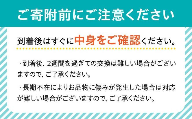 【2025年1月中旬〜発送】【数量限定】いちご「ゆめのか」 約260g × 4P / イチゴ 苺 フルーツ 果物 産地直送 朝摘み / 南島原市 / O' Berry![SGA001]