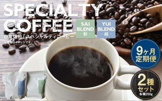 【定期便9ヶ月】自家焙煎スペシャルティコーヒー豆 250g×2種 | コーヒー豆 自家焙煎スペシャルティコーヒー ギフト 詰め合わせ