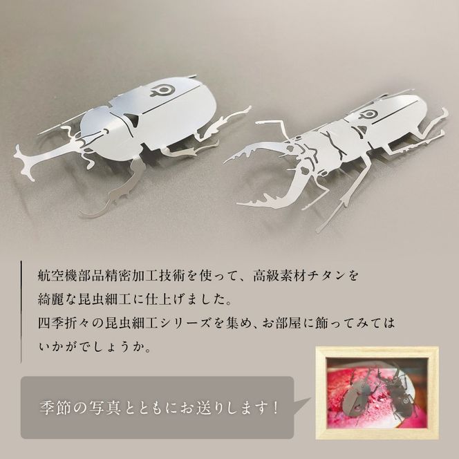 薄板チタン昆虫細工シリーズ（クワガタ＆カブトムシ セット）　【0067-013】