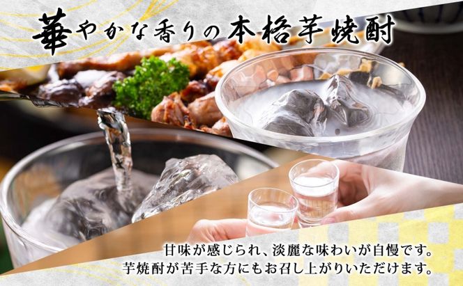 本格 芋焼酎 えっきょう 25度 720ml 瓶 Ekkyo 焼酎 乙類 お酒 アルコール 飲料 さつまいも 紅はるか 芋 いも イモ G酵母 オリジナル 晩酌 家飲み プレゼント 贈り物 ギフト 父の日 お中元 お歳暮 誕生日 自家用 送料無料 紫屋 岐阜県 美濃市