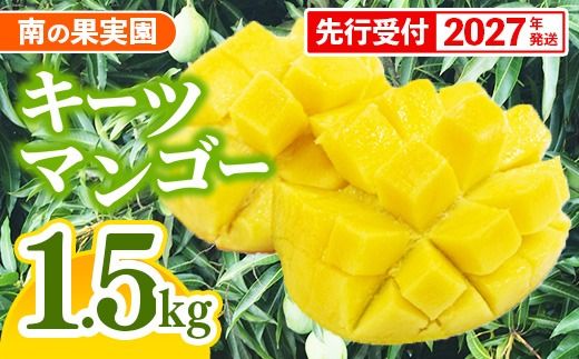 【先行受付】【2027年発送】南の果実園 キーツマンゴー 1.5kg（2玉）- 先行予約 沖縄 産地直送 南国フルーツ 旬の味覚 沖縄県産 国産マンゴー 希少種 季節の果物 沖縄県 八重瀬町
