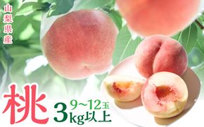 ＜2026年発送＞山梨県産　桃　（9玉～12玉）　3キロ以上　SWCN001-3kg