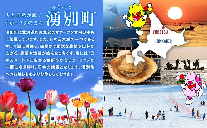 【業務用】貝ひも200g×1袋・鮭とば150g×1袋 おつまみ オホーツク 海産 乾物 海藻 のり 魚貝類 帆立 ホタテ サーモン 鮭 