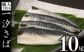 10枚セット 一汐さば おろし大根付き　B-931