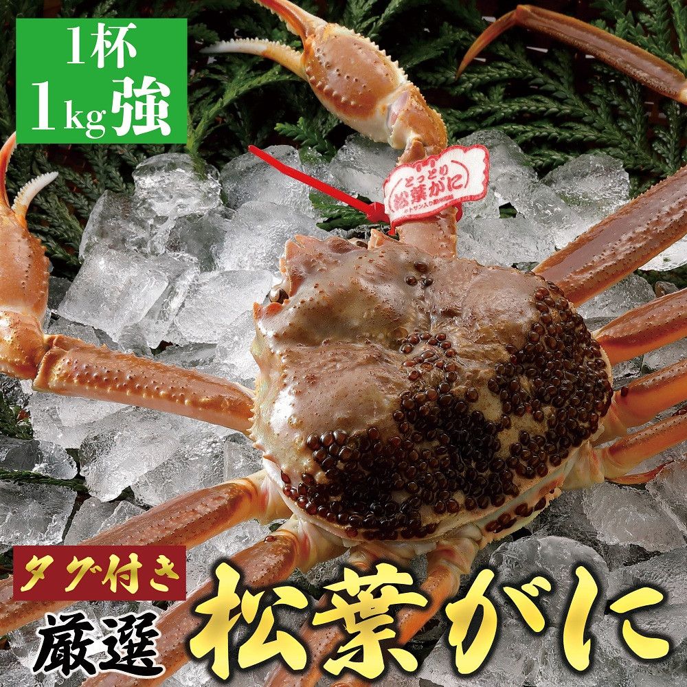 756.[活]≪2025年11月発送≫ 特撰 松葉がに(なま)[ブランドタグ付き]1kg超の大きいサイズ 食べ応えあり 特大1杯 313726_BS001VC01