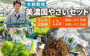 【3ヶ月定期便】美濃国やさいセット 計12袋 ｜ 野菜 野菜セット レタス フリルレタス 水耕栽培 安全 安心 衛生的 新鮮 シャキシャキ 産地直送 サラダ サンドイッチ ※離島への配送不可