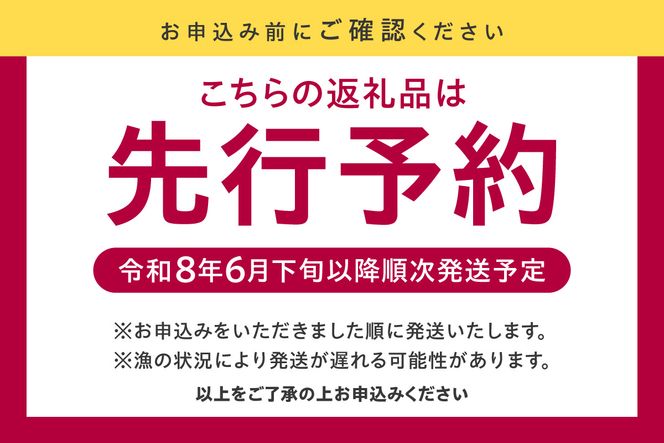 先行予約【兵庫県香住産 白いか 剣先いか お刺身用 新鮮 5～8杯 約1kg 冷凍】令和8年6月下旬以降、順次発送予定 国産 香住 鮮度抜群 急速冷凍 産地直送 刺身 イカ焼き イカフライ 人気 おすすめ 兵庫県 香美町  宿院商店 33-07