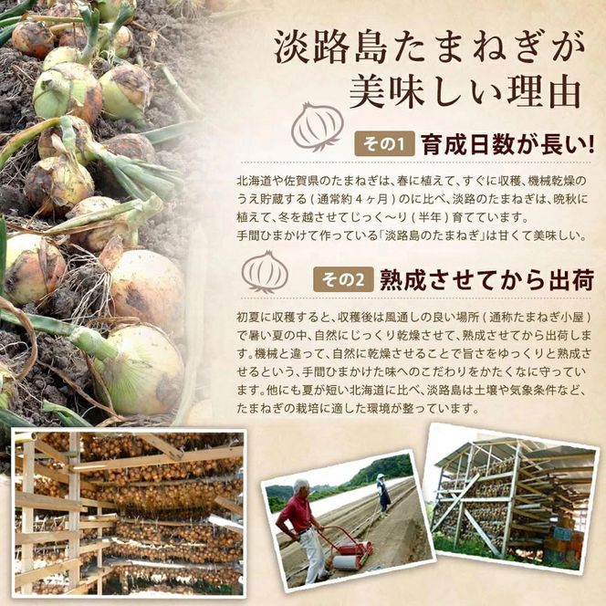 今井ファーム淡路島たまねぎスープ100食　 玉ねぎスープ
