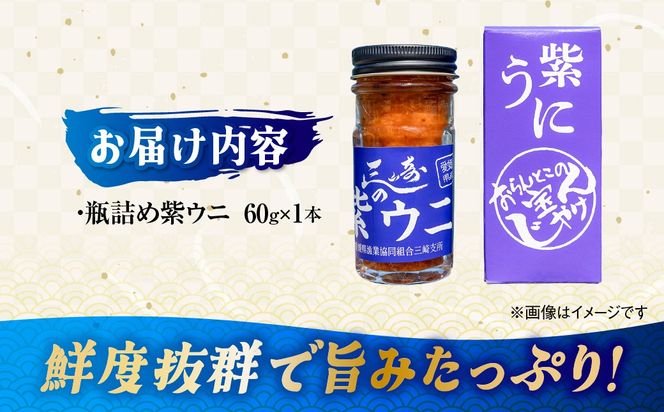 【数量限定】瓶詰め紫ウニ（60g・単品） 冷蔵 ※北海道・東北地方・沖縄・離島への配送不可     IKTJ023