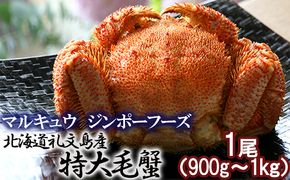 北海道 礼文島産 鮮度抜群 急速冷凍 特大毛蟹 1尾 (900g～1kg)［マルキュウ ジンポーフーズ］【 かに カニ 蟹 毛蟹 毛ガニ 姿 特大 急速冷凍 ボイル 海鮮 北海道産 お祝い 贈答 ギフト 大満足 】