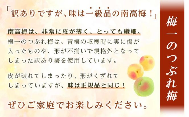 ※好評につき、25年11月以降発送※紀州南高梅《つぶれ梅セット》はちみつ梅 塩分8%  1.8kg (300g×6） 304018_BQ35