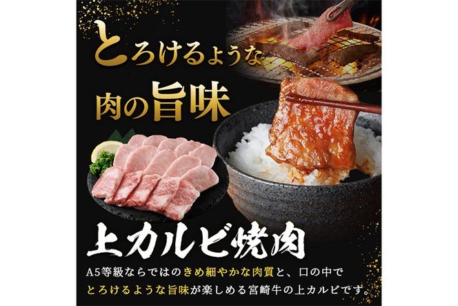 新鮮チルド便 宮崎牛 A5 上カルビ(300g) 焼肉 カルビ 焼肉 和牛 BBQ アウトドア キャンプ 小分け パック 真空パック ブランド牛 ランク パーティー ご褒美 おかず【OT-01】【KNOT合同会社】