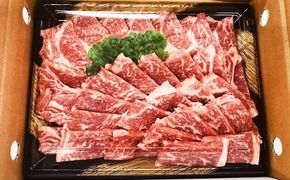 【数量限定博多和牛】 ロース焼き肉用 約500g×1パック お取り寄せ グルメ 福岡 お土産 九州 九州産 福岡県産
