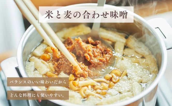 信州白樺印みそ 500g×3袋　みそ 信州みそ お試し 味噌 調味料 みそ汁 