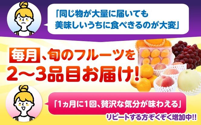【12回定期便】＜2026年1月～初回発送＞季節の果物 詰め合わせ フルーツセット 旬の果物をお任せで2〜3品目お届け (2〜3品目×12回) / 果物 セット 南島原市 / 吉岡青果 [SCZ014]