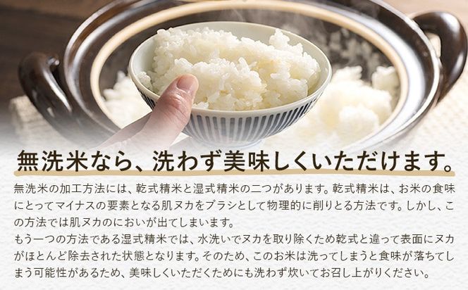 無洗米 米 使い切り パック メール便 選べる 1合 2合 4合 晴れの国おかやま無洗米《30日以内に出荷予定(土日祝除く)》岡山県 笠岡市 送料無料 岡山県産 米 ふるさと納税 わけあり 以上のお米ならこれ お米 おこめ 岡山 むせんまい kome---kasaoka_zsy_341_150---