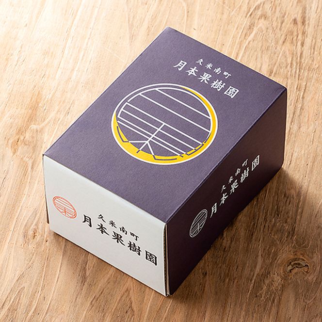 【定期便】【2026年先行予約】 ぶどう 岡山県産 シャインマスカット 1kg箱（各2～3房） 定期便 3回 《2026年10月中旬-12月上旬頃出荷》 葡萄 ブドウ 岡山県産 フルーツ 果物 数量限定