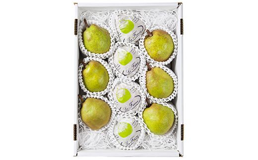 FYN9-944 ≪2026年先行予約≫山形県産 西洋梨 ラ・フランス 3kg 2026年11月上旬から順次発送 洋梨 ラフランス 秋果実 果物 くだもの フルーツ 自宅用 家庭用 産地直送 山形県 西川町 月山