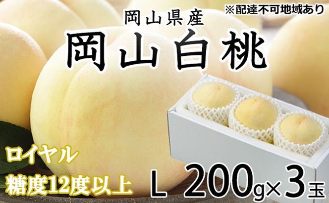 桃 2026年 先行予約 岡山 白桃 ロイヤル 3玉×約200g（Lサイズ） JA おかやま のもも（早生種・中生種） もも モモ 岡山県産 国産 フルーツ 果物 ギフト 甘い 美味しい 産地直送 贈り物 高糖度 