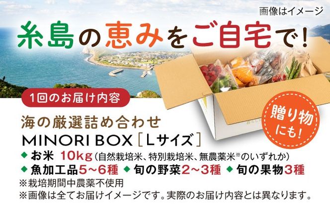 【全4回定期便】糸島産 魚 米 野菜 果物 厳選詰め合わせ MINORI BOX Lサイズ【季節ごとに年4回お届け】　糸島市 / emma.Inc / 米 魚 野菜 果物 詰め合わせ[AOP006] 米 こめ 魚 さかな 野菜 やさい 果物 くだもの 糸島 詰め合わせ MINOR