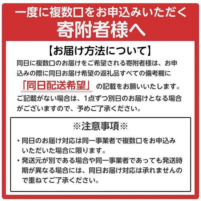 572.のし付【短冊のし　名入れ不可】あんぽ柿・ころ柿セット【化粧箱入り】合計１２個入り ※2024年11月中旬頃より順次発送予定 313726_AM001-GFT