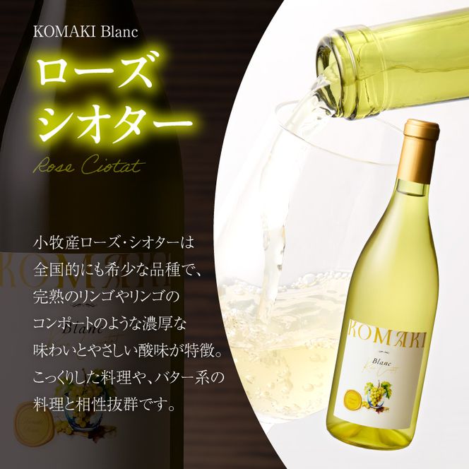 小牧ワイナリー 赤・白ワイン２本セット（小牧産ぶどう100％使用）［026A10］