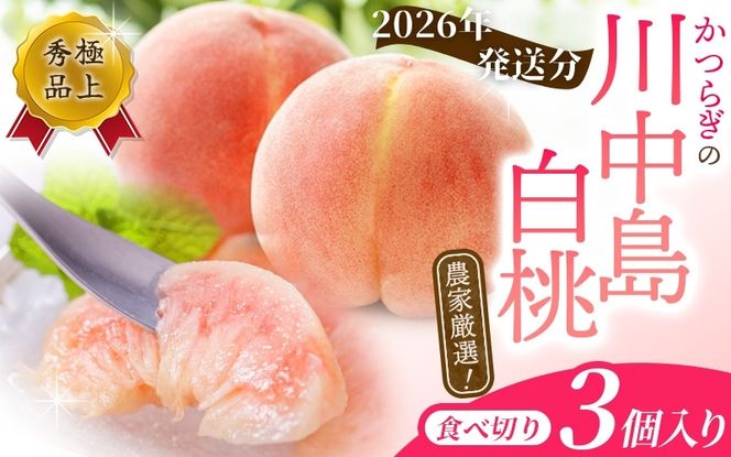 【予約受付】こだわり農家厳選 川中島白桃 和歌山産の桃  嬉しい食べきり容量 3玉 【2026年7月末頃～2026年8月末頃に順次発送予定】（お届け日指定不可）/ 桃 もも 川中島 白桃 フルーツ 果物 くだもの 【kgr012】