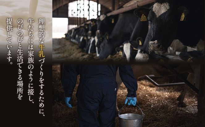 【Google口コミ星4.9の洋菓子店】極濃チーズサンド(4個入)×2　特選ギフト 味覚のふきだまり（13個入 計450g）【52012】