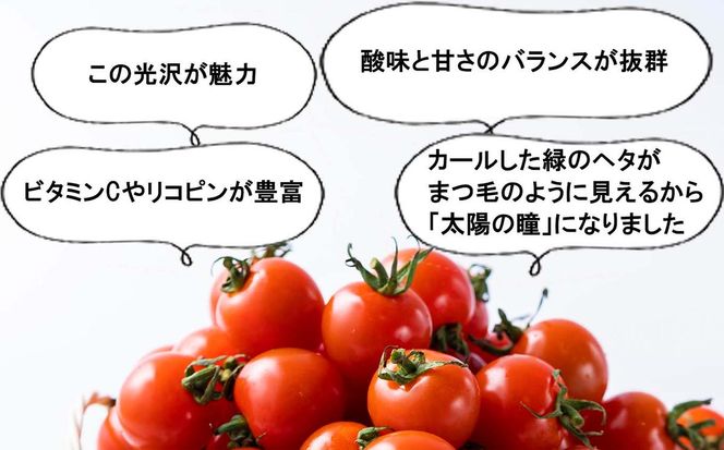 ＜ 9/15までの受付 ＞ 北海道産 ミニトマト 太陽の瞳 M サイズ 3kg 新ひだか町