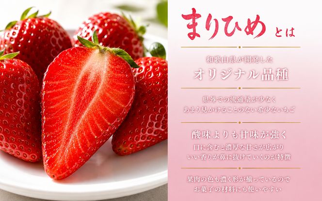 【来シーズン先行予約】紀州和歌山ブランドいちご「まりひめ」約250g×4P※2027年3月上旬頃～3月下旬頃に順次発送予定（お届け日指定不可）【uot758B】