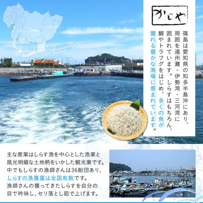 篠島産しらす干し1kg