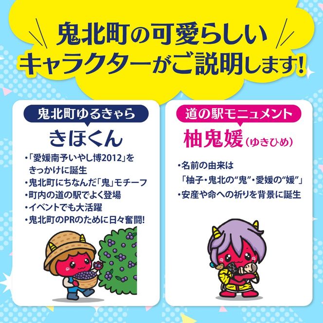 【先行予約】【選別済み大粒】冷凍ブルーベリー900g（150g×6P） | 選別済み 大粒 国産 個包装 小分け 冷凍 鬼北町直営農園 果実 フルーツ 果物 くだもの 朝食 ヨーグルト　鬼北町役場 日吉支所 愛媛県 ※2026年8月～発送