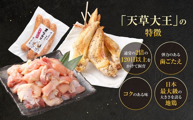 天草大王プレミアムバーべキューセット（大） 計6パック 天草大王 焼鳥 手羽先 串 ウインナー コロコロカット