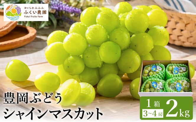 �y���Ɍ��L���s�z�L���Ԃǂ� �V���C���}�X�J�b�g ��2kg / �L���u�h�E �Y�n���� ���x������ �Z�� �Ö� ��i�ȍ��� ���؂�̗ǂ� �炲�� �H�ׂ��� ���_�� �V���C�� �}�X�J�b�g �Ԃǂ� �u�h�E ���� �ʕ� �������� �t���[�c �ӂ����_��