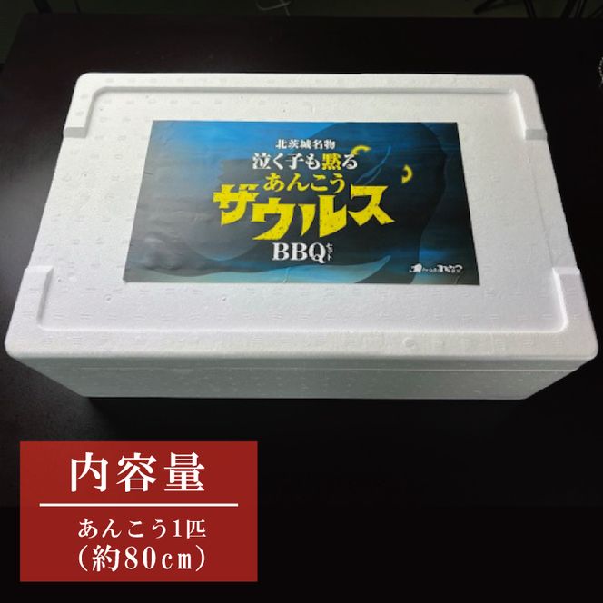 【ふるさと納税限定】あんこうザウルスBBQセット（AM211）