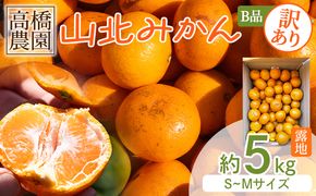 みかん 【2026年11月中旬より順次配送】高橋農園【訳あり】山北みかん 露地(Ｓ～Ｍ)Ｂ品 5kg th-0026