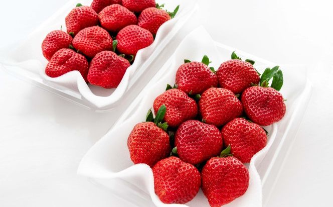 【先行予約受付中】【2027年1月10日～2月上旬順次発送】福岡県産いちご「あまおう」270g×2パック【hurrah.】_HA1971