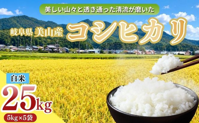 岐阜県美山産コシヒカリ 令和8年産 新米 25kg| 令和8年 米 精米 白米 お米 コシヒカリ こしひかり ツヤ 粘り 甘み ヤマガタ農産 ※2026年11月～発送