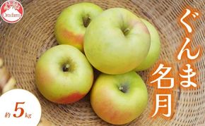 【2026年10月～発送】ぐんま名月 約5kg りんご リンゴ 林檎 果物 フルーツ 長野県 長野 山ノ内町