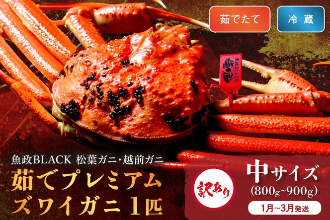 訳あり　【蟹の匠 魚政】茹で　プレミアムズワイガニ 魚政BLACK（松葉ガニ・越前ガニ） 中サイズ（800～900g） 1匹 (1月～3月発送） 松葉蟹 蟹 かに カニ ガニ がに ボイル まるごと 海産物 海鮮 魚介 魚介類 甲殻類 海の幸 京都 京丹後 京丹後市 ふるさと納税 蟹 送料無料　UO01313