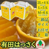 ちょっと 傷あり 手さげ箱 有田 はっさく 2L ~ M 4~6玉入2箱セット 南泰園 みかんBS713 