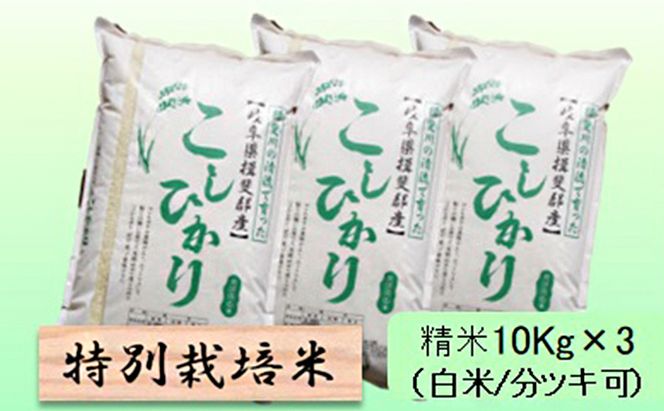 特別栽培米 【 令和8年産 】 精米 30kg（白米/5分/7分ツキ可）【 コシヒカリ 】玄米は別に出品